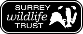 Surrey Wildlife